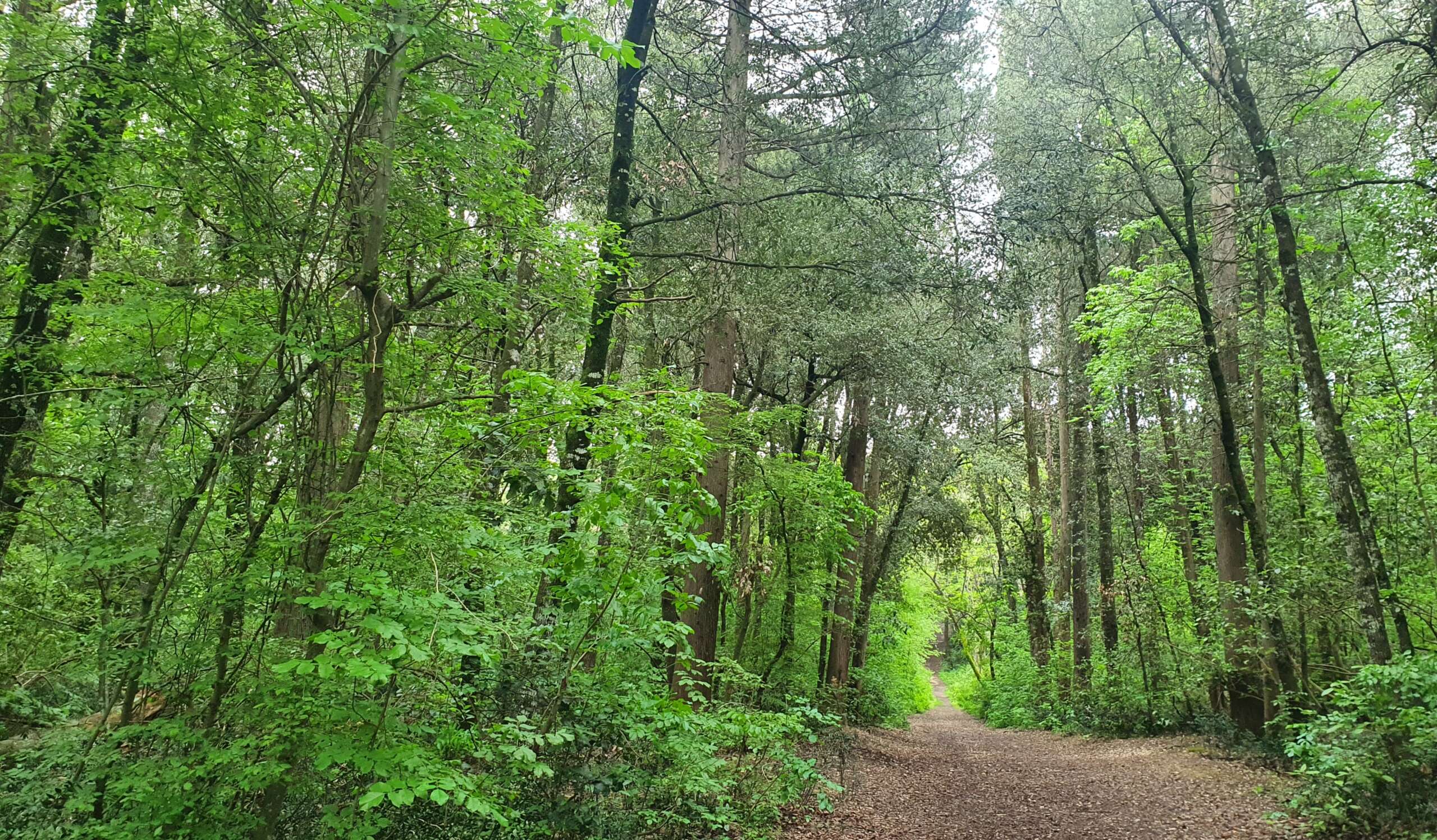 PASSEGGIATA NATURALISTICA TRA I COLORI D'AUTUNNO