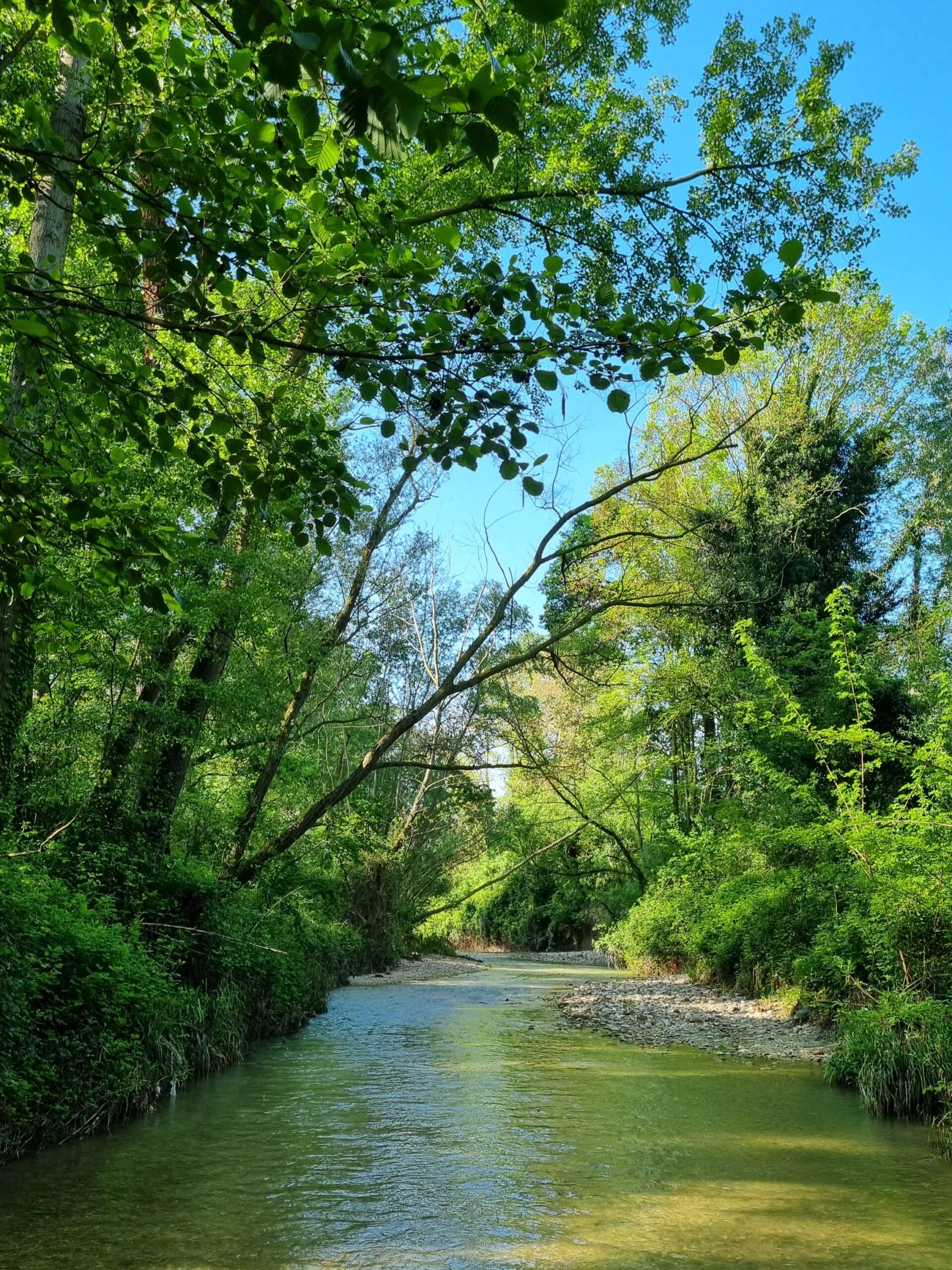 PASSEGGIATA NATURALISTICA TRA I COLORI D'AUTUNNO - immagine 2
