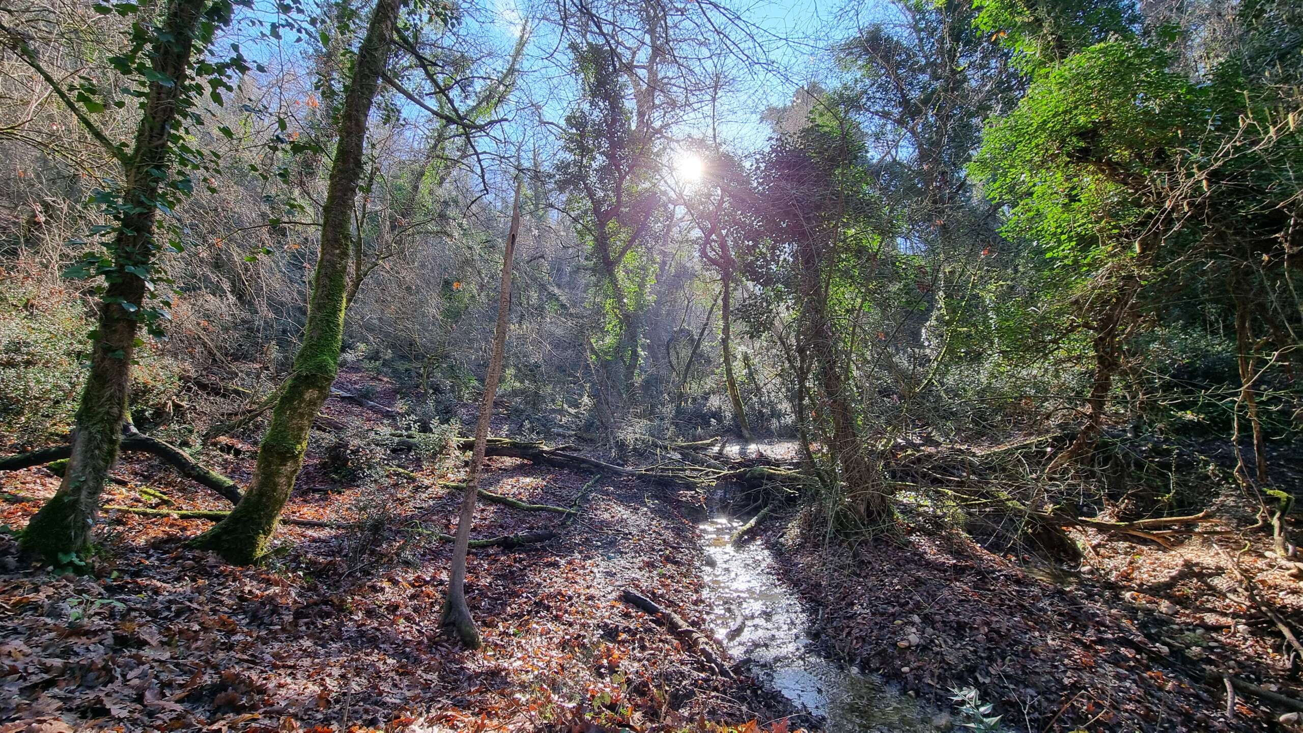 ESCURSIONE SERALE AL "FOSSO DELL'INFERNO" - immagine 4