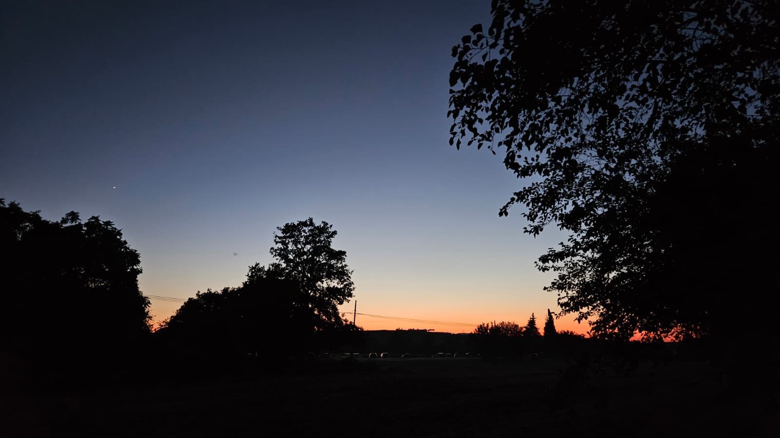 PASSEGGIATA SENSORIALE NOTTURNA NELLA SELVA